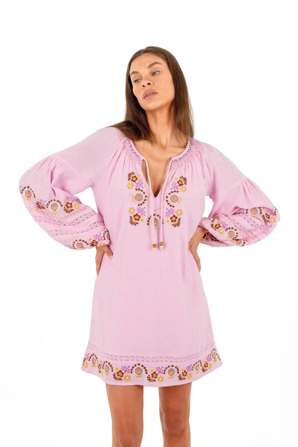 Iris Mini Dress in Petal with embroidered detailing