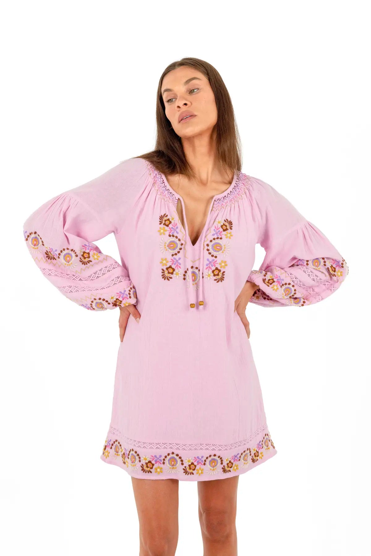 Iris Mini Dress in Petal with embroidered detailing