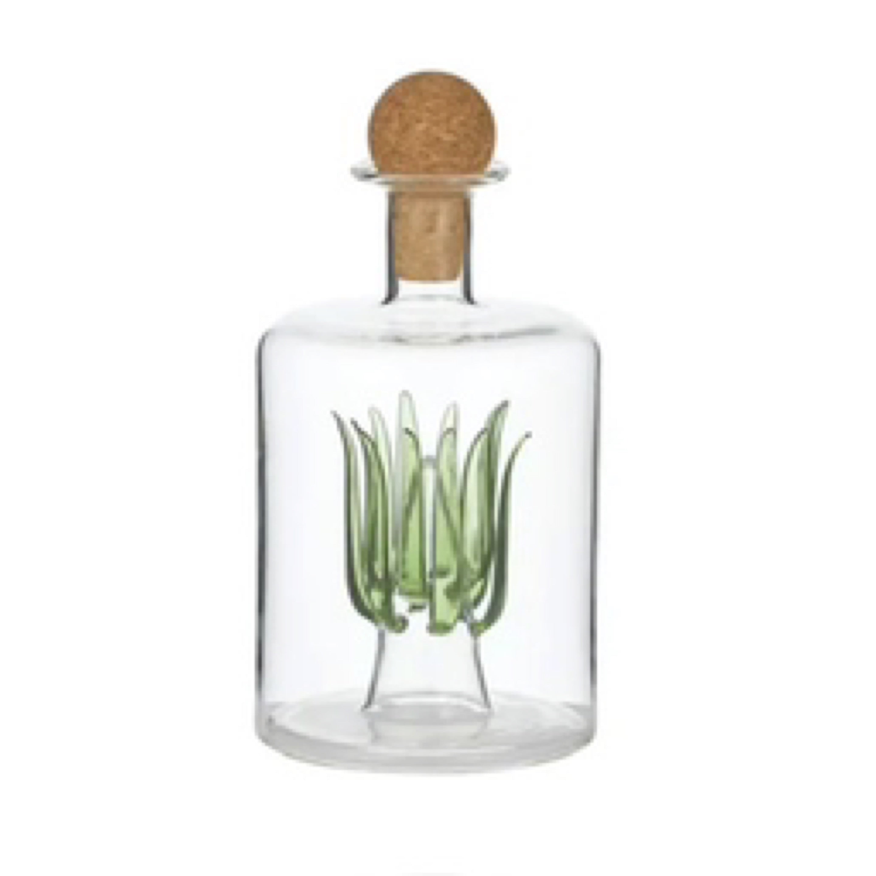 Agave Plant Tequila Decanter