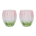 Lotti Set Of 2 Tulip Glass Pink/Green