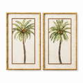 Palm framed glass print 50x80cm, coastal palm tree design