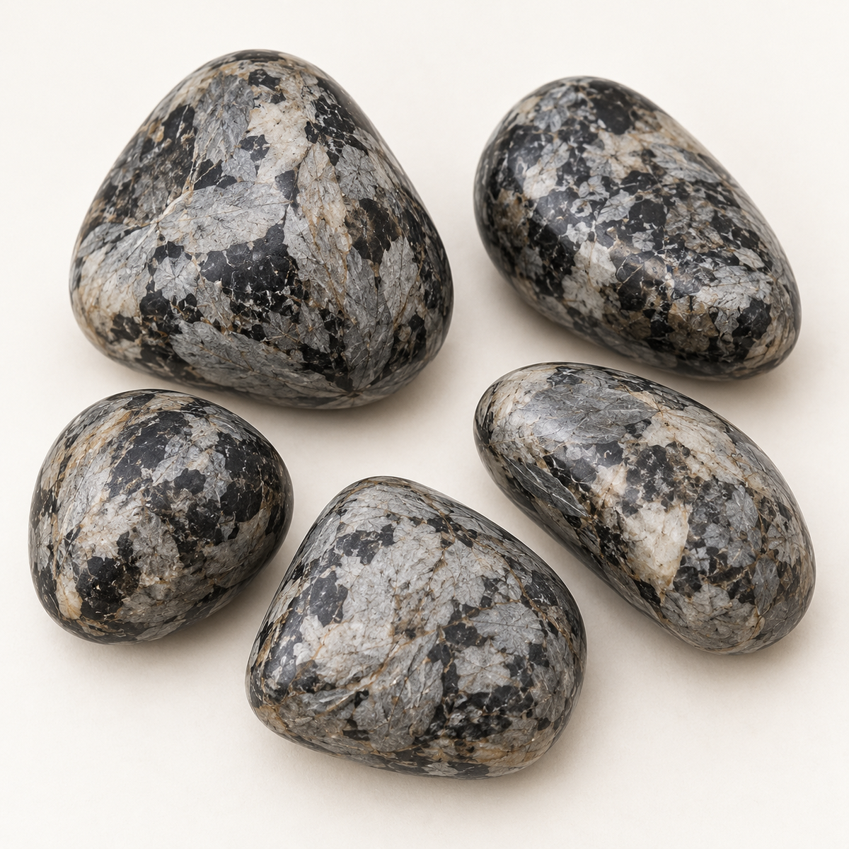 Silver Leaf Jasper Tumble