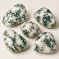 Tree Agate Tumble