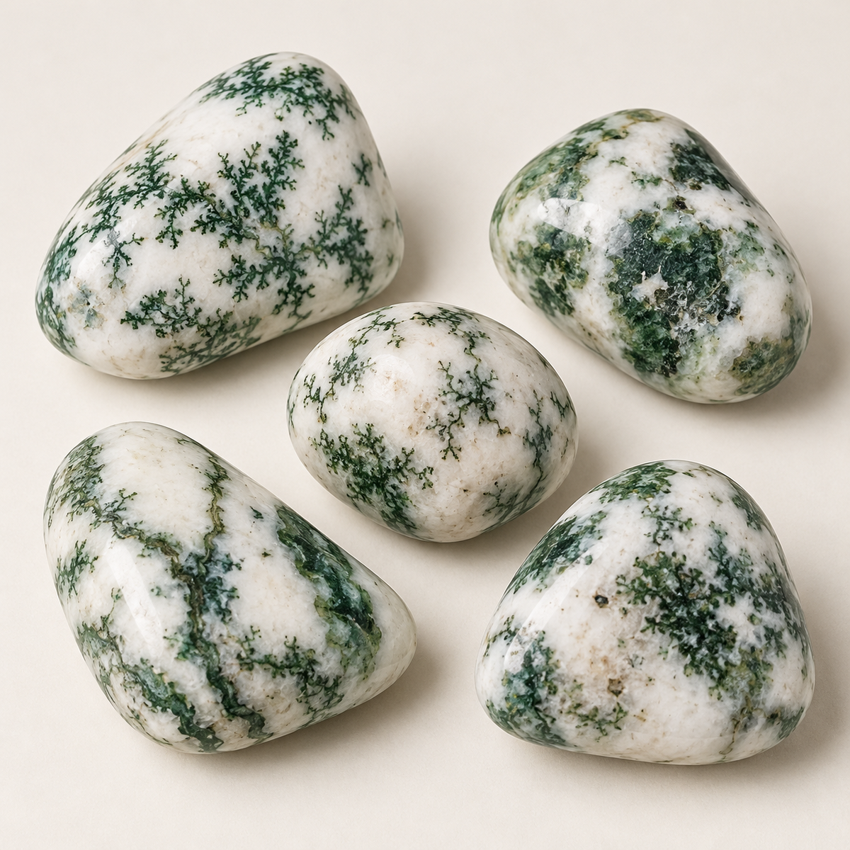 Tree Agate Tumble